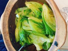 啫啫生菜煲-陶陶居酒家(海岸城店)