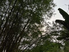 -晓港公园