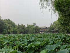 -莲池书院博物馆