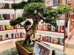 -二酉书店TOYOU BOOKS