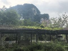 -明仕田园