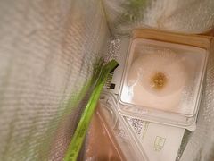 -奈雪的茶(松江万达店)