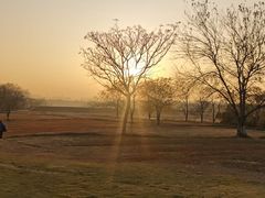 -盘龙城国家考古遗址公园