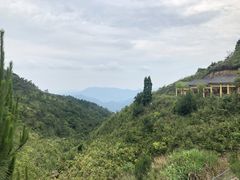 -军营村