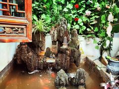 -丽江庭院·云南野生菌·海鲜火锅(鼓楼四合院店)
