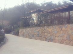 picture-南京汤山紫清湖生态旅游温泉度假区