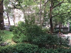 -香港大学