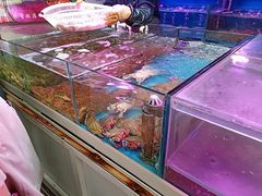 水产区-福安菜市场