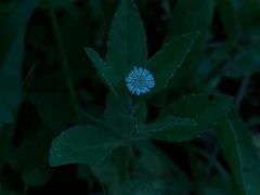-维乐口腔医院(星海湾分院)