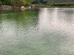 -靖西鹅泉风景区
