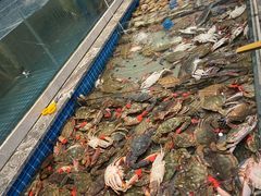 -一方渔歌蒸汽海鲜自助(文化路万达广场店)