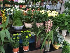 -花辰月夕花坊(北滨路店)