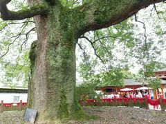 -新安江山水画廊风景区