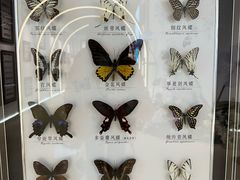 -蝴蝶泉公园