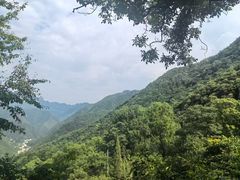 -秦岭风景区