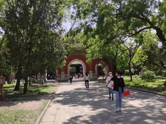 -北京国子监胡同