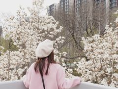 -安定门(地铁站)
