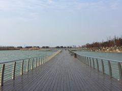 -滆湖低碳生态公园