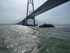 -招商蛇口邮轮母港(观光客运)