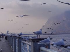 -海埂大坝
