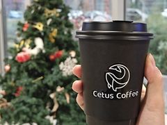 -Cetus coffee鲸鱼座咖啡·拼豆(二仙桥公园店)