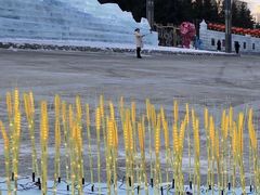 -长春公园(普阳街道)