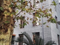 -四川大学华西医院-地下停车场