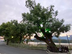 -东梓关景区村庄