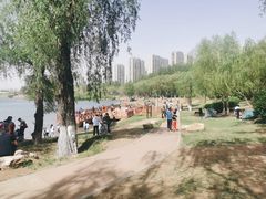 -丁香湖公园