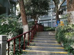 -西湖风景区十里琅珰-五云山