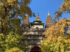 -北京石刻艺术博物馆(五塔寺)