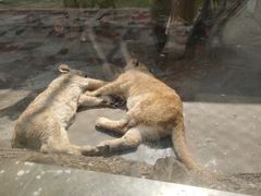 -西安秦岭野生动物园