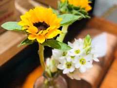 -HAVE A ROOM·有间质果(总店)