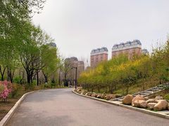 -黛秀湖公园