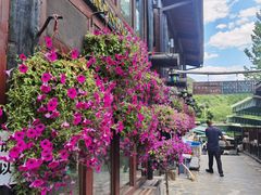 -北京水岸山吧度假村(雁栖镇店)