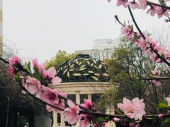 -世博家园八街坊