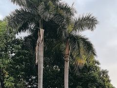 -广州市白云山风景名胜区
