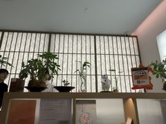 -长风拨筋养身(金虹桥店)