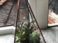 景观位-蝶舍·MAISON PAPILLON