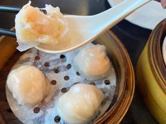 添运来虾饺皇-添运来(茶园奥园广场店)