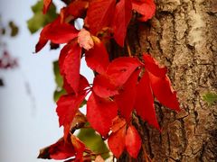 -东方双鹰高尔夫俱乐部-西北1门地上停车场