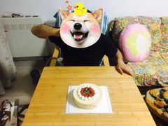 -ebeecake小蜜蜂蛋糕(酒仙桥店)