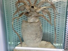 -浙江自然博物院(杭州馆)