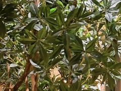 -晓宇重庆火锅(西安荟聚店)