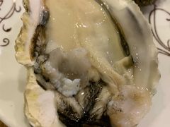 冰镇生蚝-吉源大排档·鱼生·海鲜(烧烤彩印厂店)