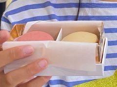 -Pierre Marcolini(德基广场店)