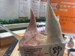 -野人先生现做冰淇淋(北京环宇荟店)