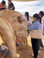 -季高兔窝窝亲子园(上海薰衣草公园店)