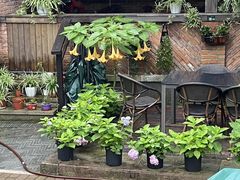 -听风阁农家私房菜茶楼(龙坞店)