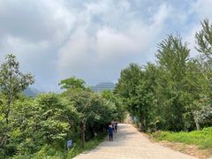 -阳台山自然风景区